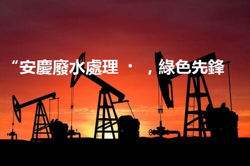 “安慶廢水處理，綠色先鋒，環(huán)保典范！”